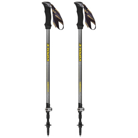 Bastoncini da trekking Vipole Climber As Ql grigio/nero