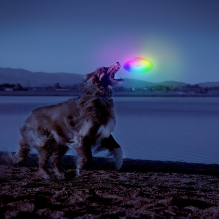 Giocattolo per cane Nite Ize Flashflight® Dog Discuit™ LED Flying Disc