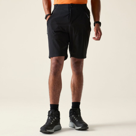 Pantaloncini da uomo Dare 2b Torrek Lite Short