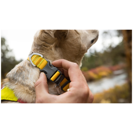 Collare per cane Ruffwear Hi & Light™ Collar