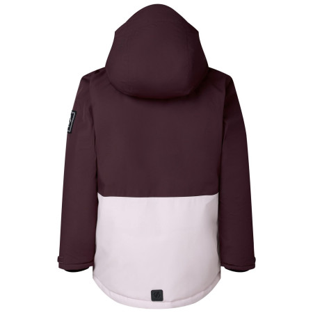 Giacca da bambino Dare 2b Wing It Jacket Hucklbr/PkHz