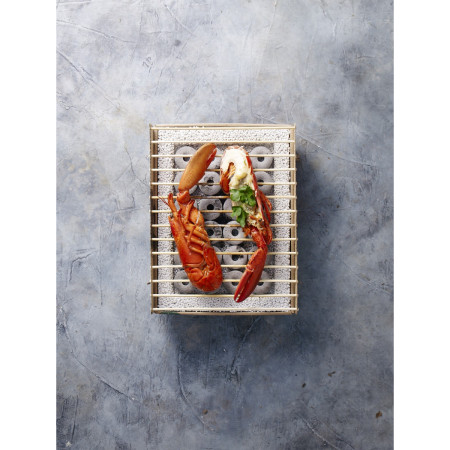 Griglia a carbone CasusGrill Griglia ecologica