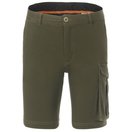 Pantaloncini da uomo Regatta Bendrick Shorts verde Dark Khaki