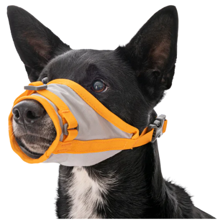 Pettorina per cane Ruffwear BackTrak™ Dog Evacuation Kit