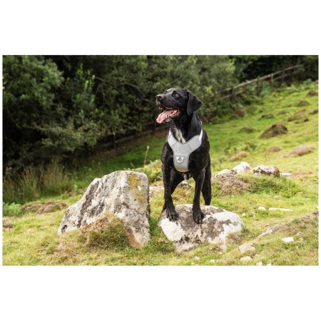 Pettorina per cane Mountain Paws Reflective Dog Harness