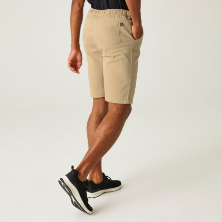 Pantaloncini da uomo Regatta Aldan Short