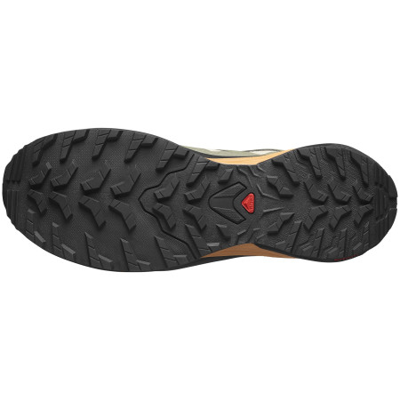 Scarpe da corsa da uomo Salomon X-Adventure Gore-Tex