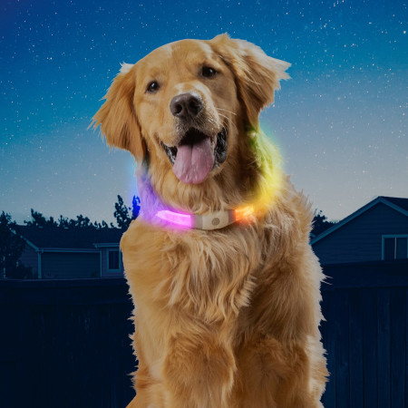 Collare luminoso per cane Nite Ize NiteHowl Max LED