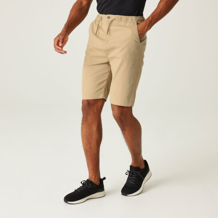 Pantaloncini da uomo Regatta Aldan Short