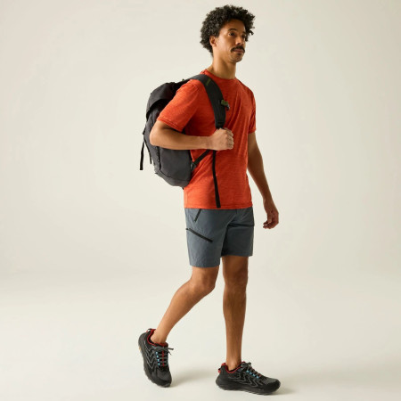 Pantaloncini da uomo Regatta Xert Stretch Shorts