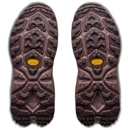 Scarpe da donna Hoka W Kaha 2 Frost Gtx