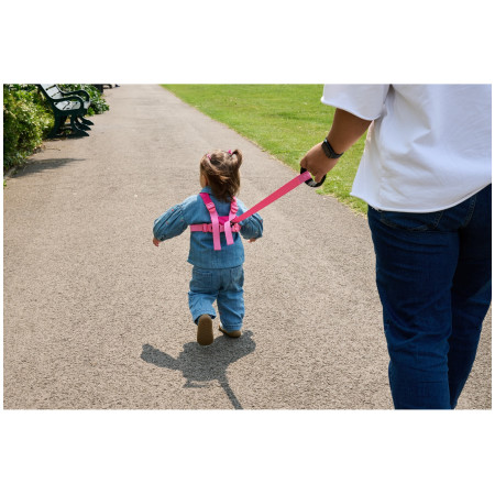 Redinelle di sicurezza LittleLife Toddler Reins Butterfly