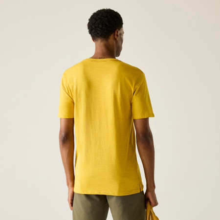 Maglietta da uomo Regatta Rendro