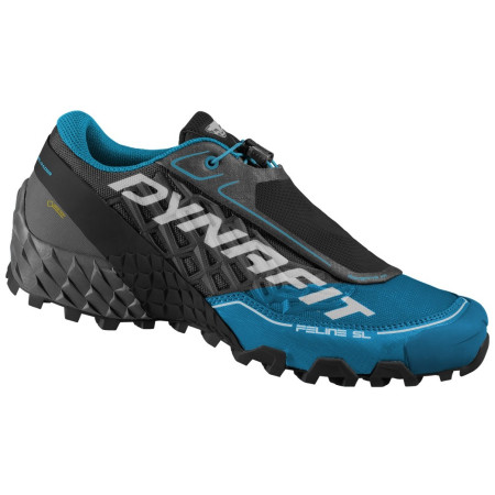 Scarpe da corsa da uomo Dynafit Feline Sl Gtx nero/blu Carbon/Frost
