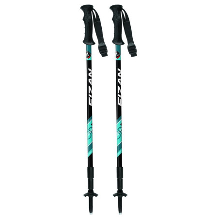 Bastoncini da trekking Fizan Explorer blu Blue