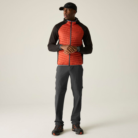 Pantaloni da uomo Regatta Anti-Insect Travel Light Z/O Trousers