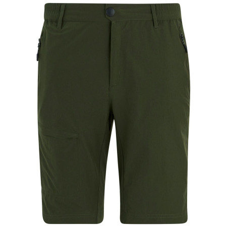 Pantaloncini da uomo Regatta Highton Shorts Long II