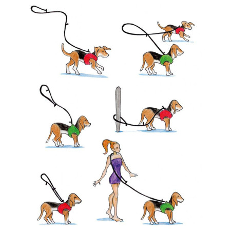 Guinzaglio per cane Curli Adjustable Leash Nylon
