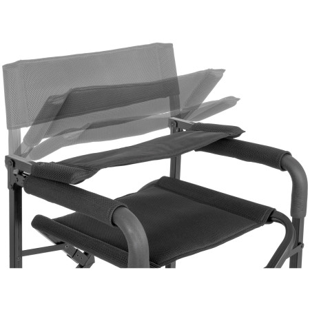 Poltrona Brunner Aravel Director 3D