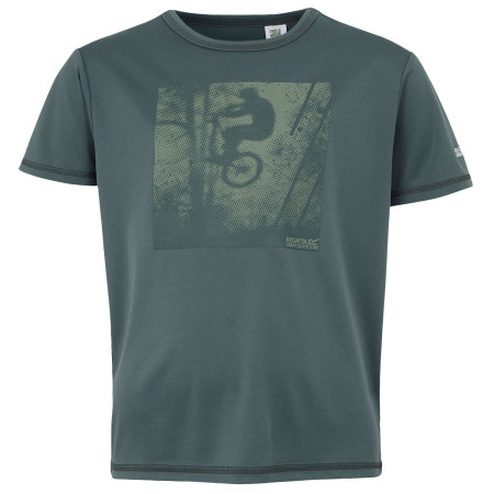 Maglietta da bambino Regatta Alvarado IX