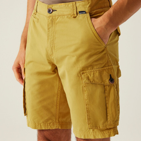 Pantaloncini da uomo Regatta Shorebay Shorts II