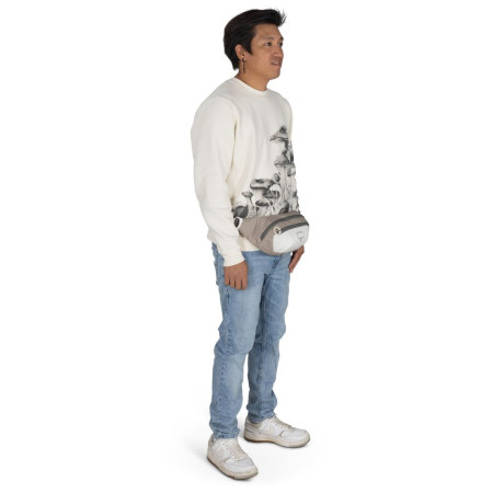 Marsupio Osprey Daylite Waist Pack