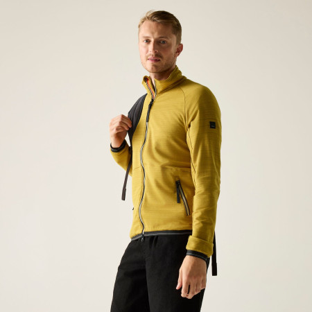 Felpa da uomo Regatta Malton