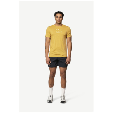 Maglietta da uomo Devold Active "1853" Tee Man