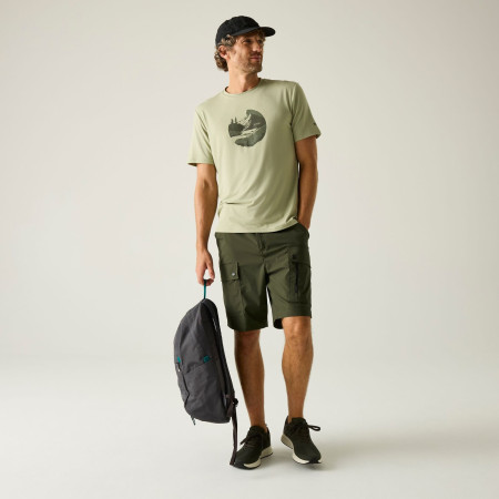 Pantaloncini da uomo Regatta Arlery Shorts