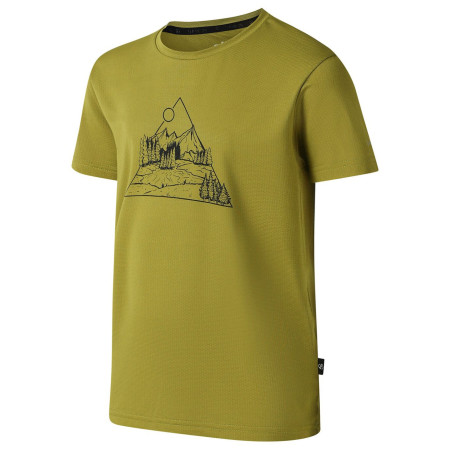 Maglietta da bambino Dare 2b Amuse III Tee Goldn Cypress