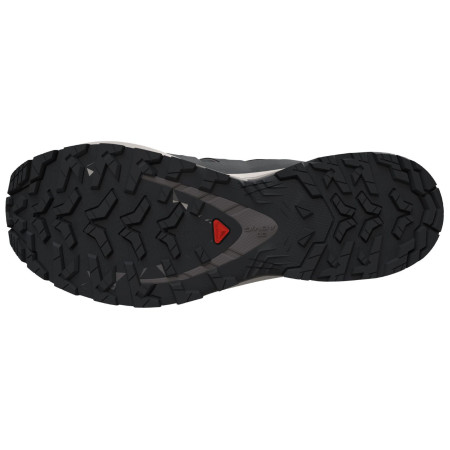 Scarpe da uomo Salomon Xa Pro 3D V9