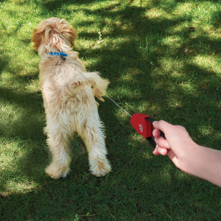 Guinzaglio per cane Nite Ize RadDog™ Retractable Pocket Leash