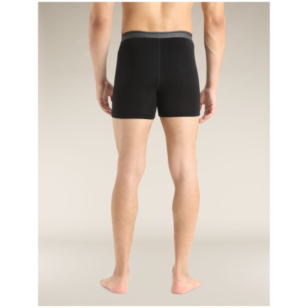 Boxer da uomo Icebreaker Mens Anatomica Boxers