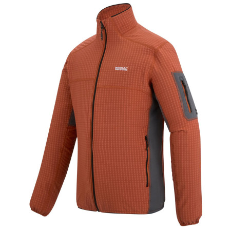 Felpa da uomo Regatta Baslinn