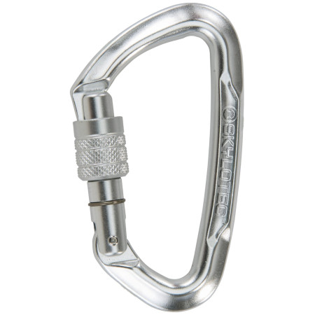 Moschettone Skylotec Lime SG (screw gate) argento Silver