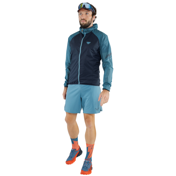 Pantaloncini da uomo Dynafit Alpine Shorts M