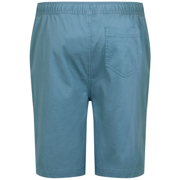 Pantaloncini da uomo Regatta Aldan Short