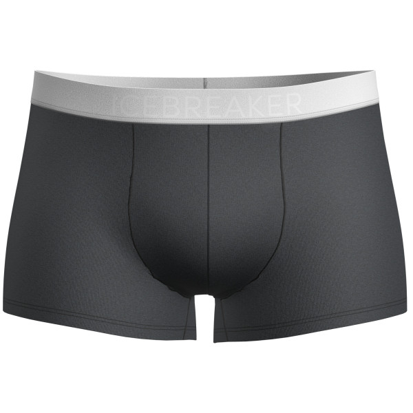 Boxer da uomo Icebreaker M Anatomica Cool-Lite Trunks grigio Monsoon Hthr