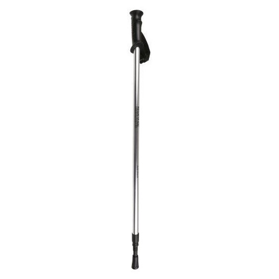 Bastoncino da trekking Regatta AS Walk Pole II argento Silver