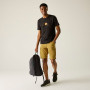 Pantaloncini da uomo Regatta Ruwan Shorts