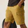 Pantaloncini da uomo Regatta Ruwan Shorts