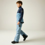 Pantaloni da sci per bambini Dare 2b Pow III Insulated Pant Dusky Blue