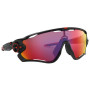 Occhiali da sole OAKLEY Jawbreaker Prizm Road
