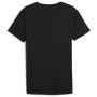 Maglietta da uomo Puma Everyday Crew Neck Tee 2P