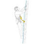 Ammortizzatore di caduta Petzl Asap´Sorber 20cm