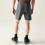 Pantaloncini da uomo Dare 2b Torrek II Short