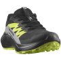 Scarpe da corsa da uomo Salomon Alphaglide Gore-Tex
