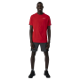Pantaloncini da uomo Salewa Pedroc 2 Dst M Shorts