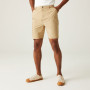 Pantaloncini da uomo Regatta Dalry Short