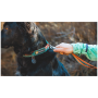 Collare per cane Ruffwear Front Range™ Collar
